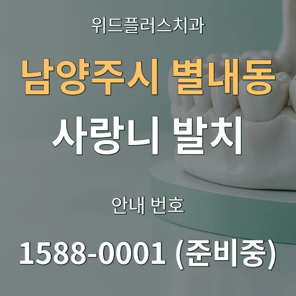남양주시 별내동 사랑니 발치 대표 안내 그래픽