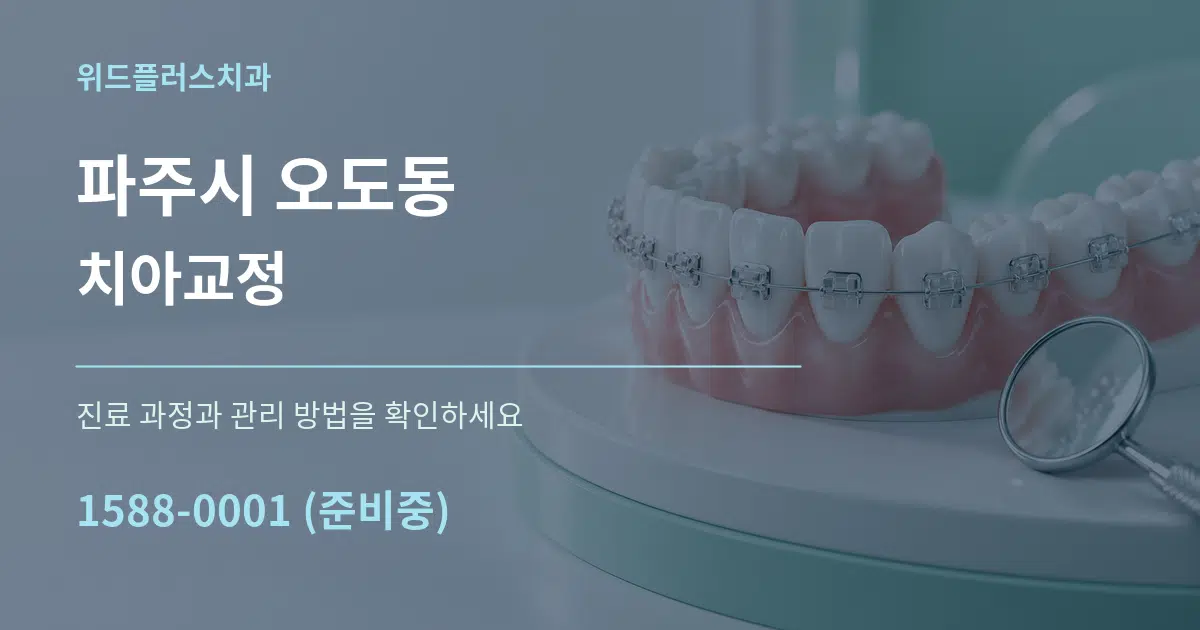 파주시 오도동 치아교정 서비스 이용 안내 그래픽