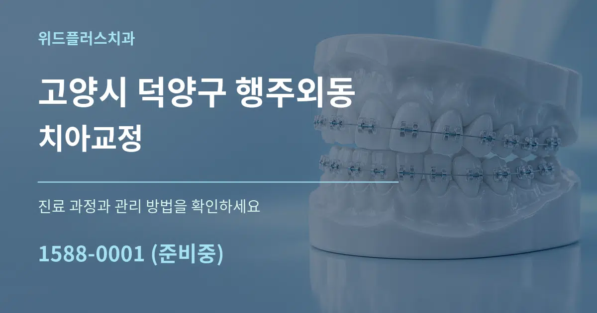 고양시 덕양구 행주외동 치아교정 서비스 이용 안내 그래픽
