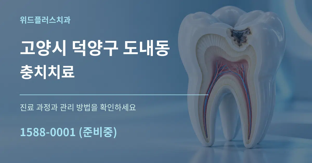 고양시 덕양구 도내동 충치치료 서비스 이용 안내 그래픽
