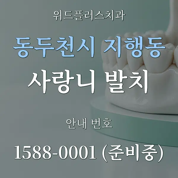 동두천시 지행동 사랑니 발치 대표 안내 그래픽