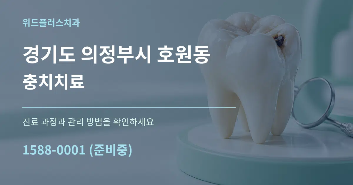 경기도 의정부시 호원동 충치치료 서비스 이용 안내 그래픽