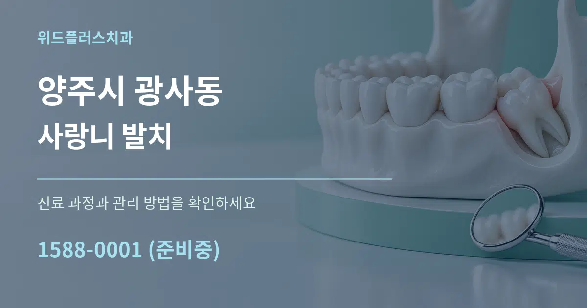 양주시 광사동 사랑니 발치 서비스 이용 안내 그래픽