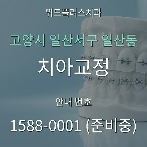 고양시 일산서구 일산동 치아교정 대표 안내 그래픽