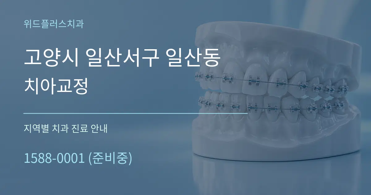 고양시 일산서구 일산동 치아교정 대표 안내 그래픽