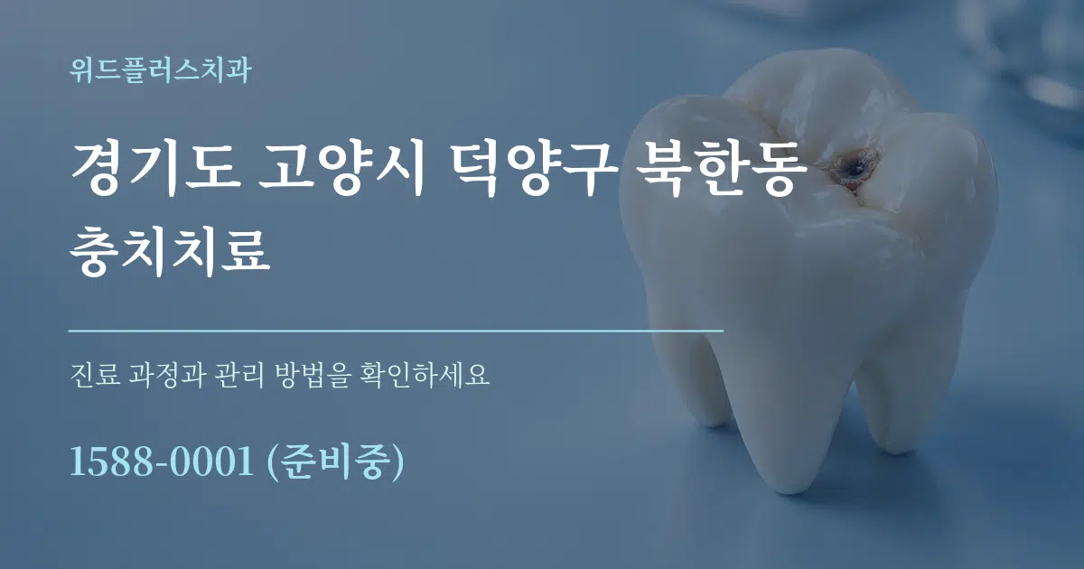 경기도 고양시 덕양구 북한동 충치치료 서비스 이용 안내 그래픽