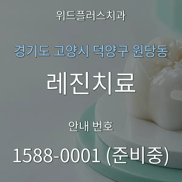 경기도 고양시 덕양구 원당동 레진치료 대표 안내 그래픽