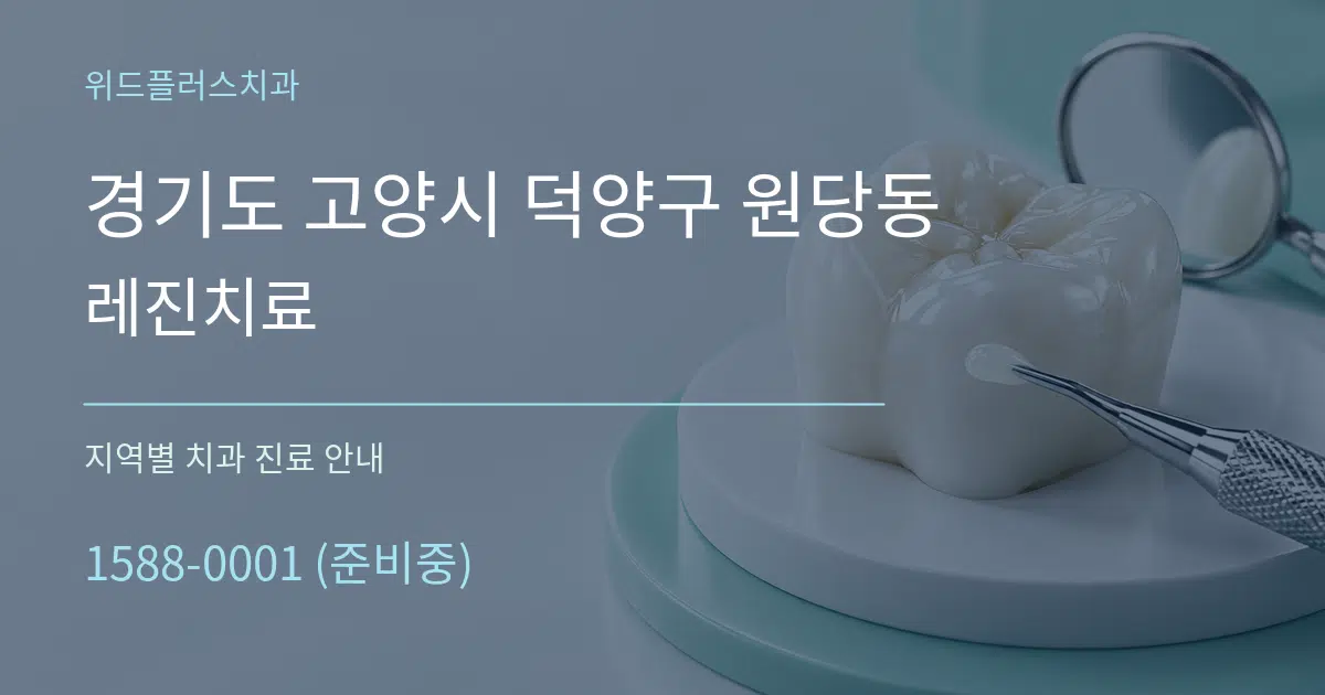 경기도 고양시 덕양구 원당동 레진치료 대표 안내 그래픽