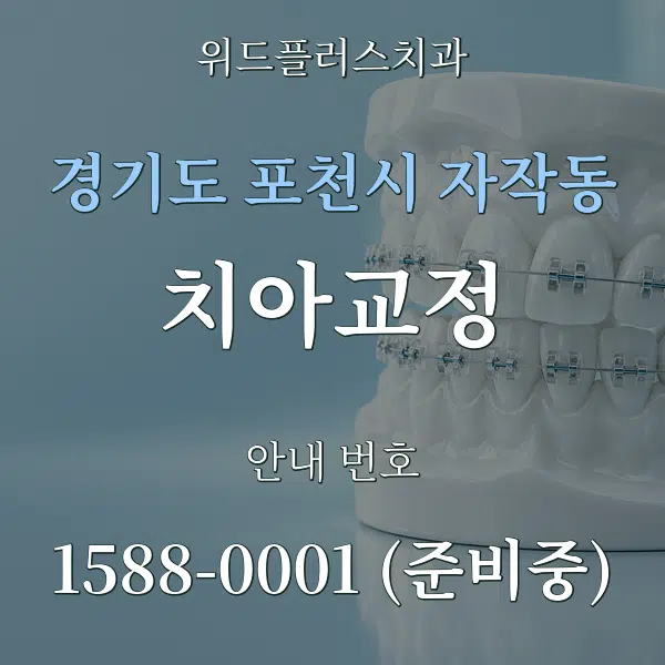 경기도 포천시 자작동 치아교정 대표 안내 그래픽