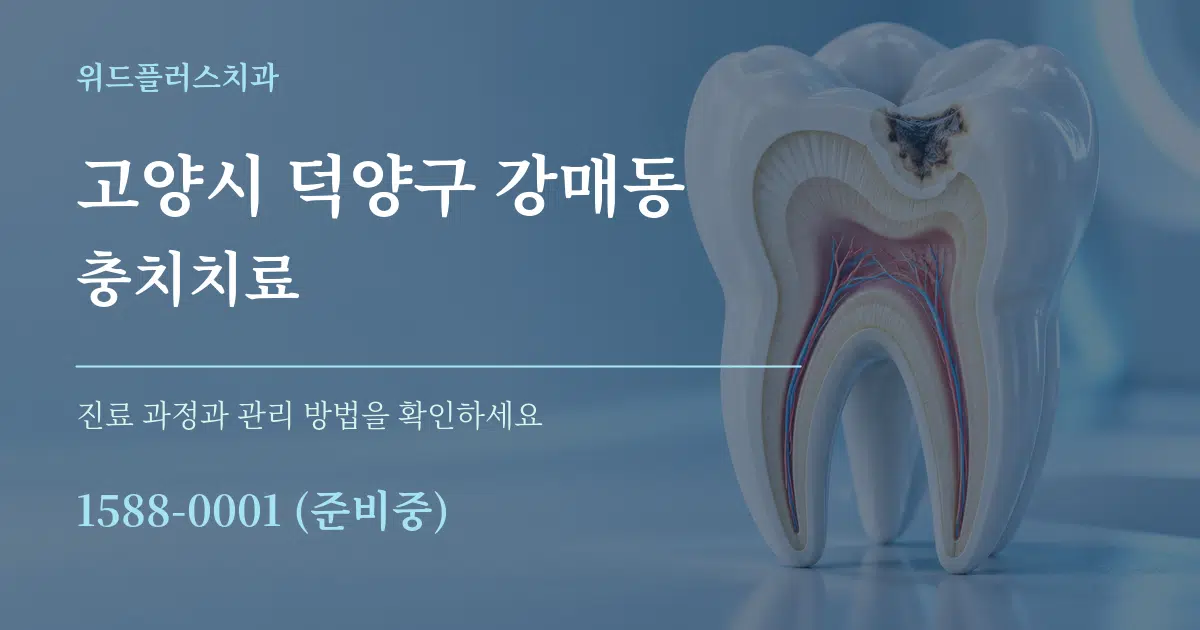 고양시 덕양구 강매동 충치치료 작업 조건 안내 그래픽