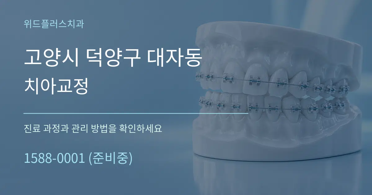 고양시 덕양구 대자동 치아교정 서비스 이용 안내 그래픽