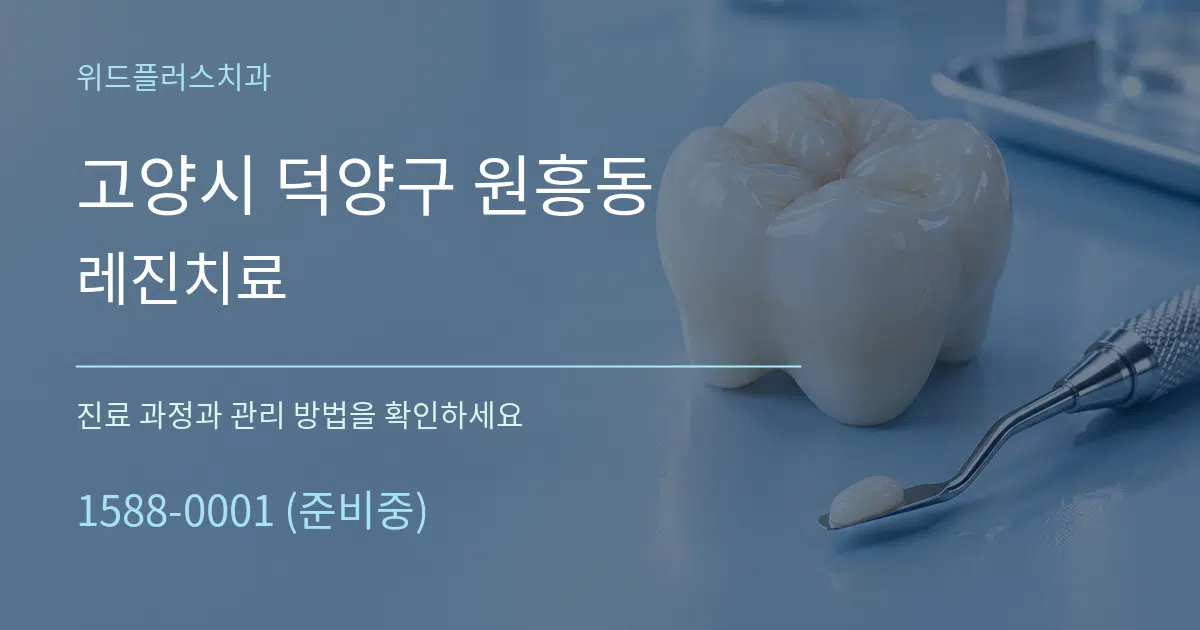 고양시 덕양구 원흥동 레진치료 서비스 이용 안내 그래픽
