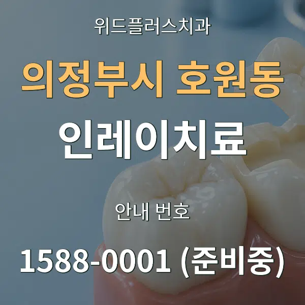 의정부시 호원동 인레이치료 대표 안내 그래픽