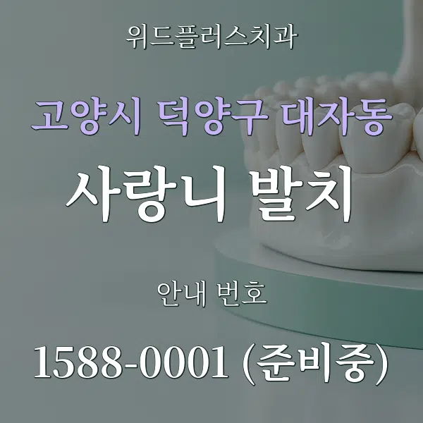고양시 덕양구 대자동 사랑니 발치 대표 안내 그래픽