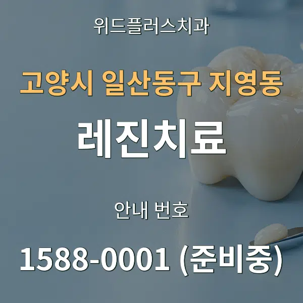 고양시 일산동구 지영동 레진치료 대표 안내 그래픽