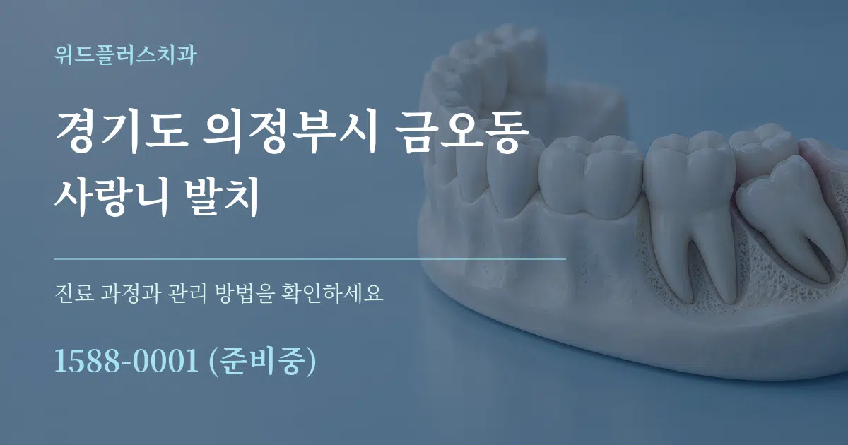 경기도 의정부시 금오동 사랑니 발치 서비스 이용 안내 그래픽