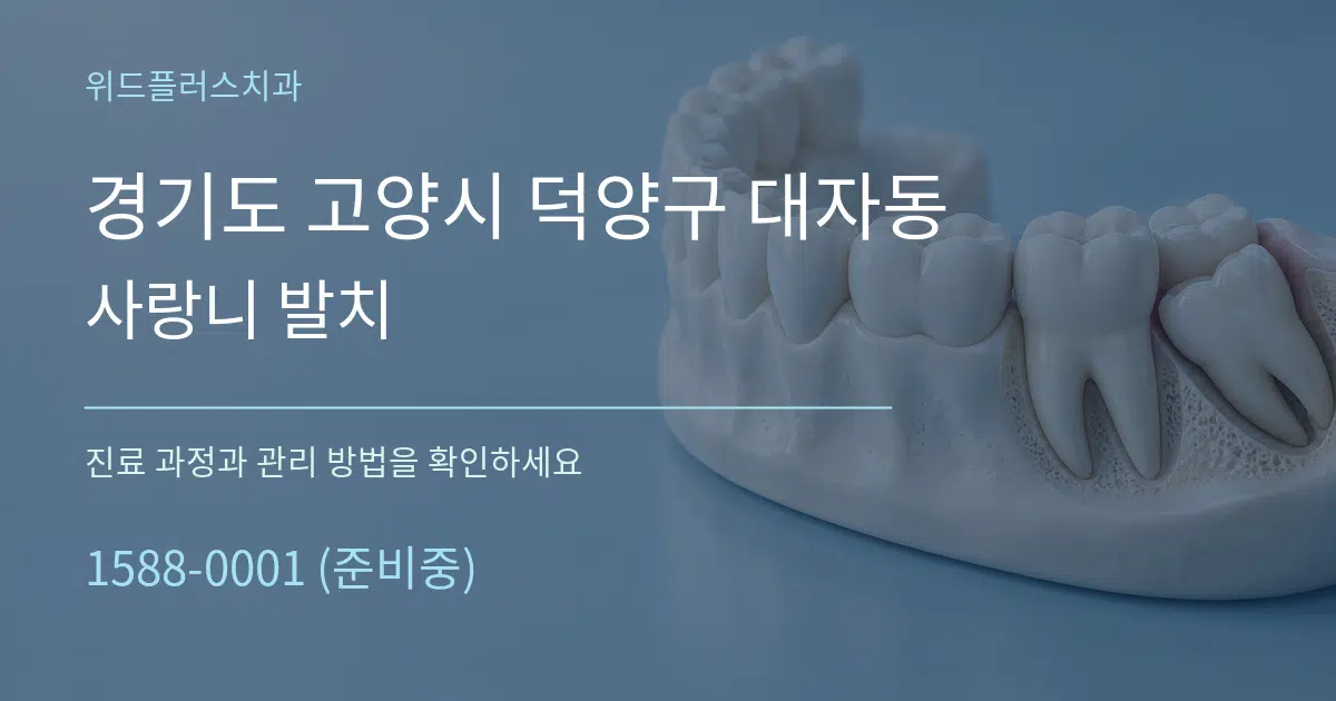 경기도 고양시 덕양구 대자동 사랑니 발치 작업 조건 안내 그래픽