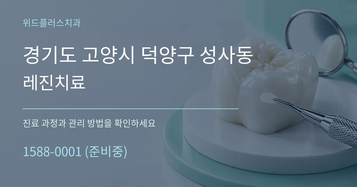 경기도 고양시 덕양구 성사동 레진치료 서비스 이용 안내 그래픽