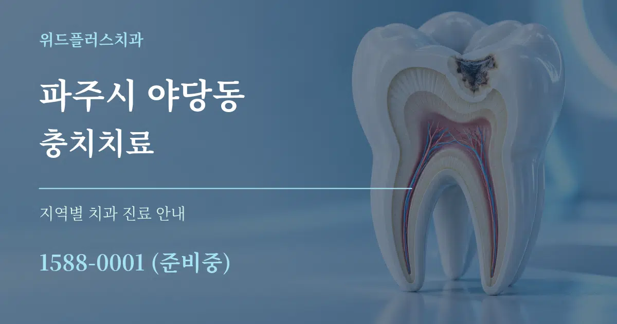 파주시 야당동 충치치료 대표 안내 그래픽
