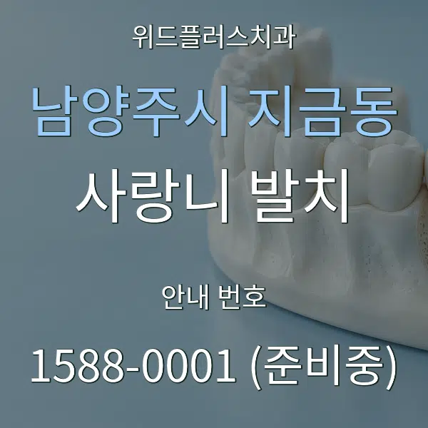 남양주시 지금동 사랑니 발치 대표 안내 그래픽