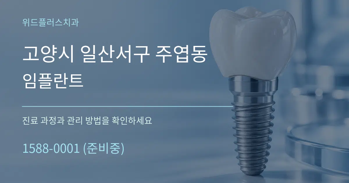 고양시 일산서구 주엽동 임플란트 서비스 이용 안내 그래픽