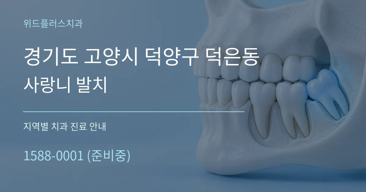 경기도 고양시 덕양구 덕은동 사랑니 발치 대표 안내 그래픽