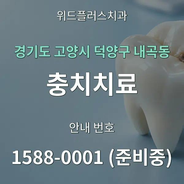 경기도 고양시 덕양구 내곡동 충치치료 대표 안내 그래픽