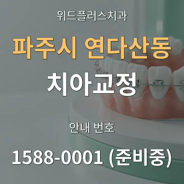 파주시 연다산동 치아교정 대표 안내 그래픽