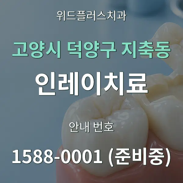 고양시 덕양구 지축동 인레이치료 대표 안내 그래픽