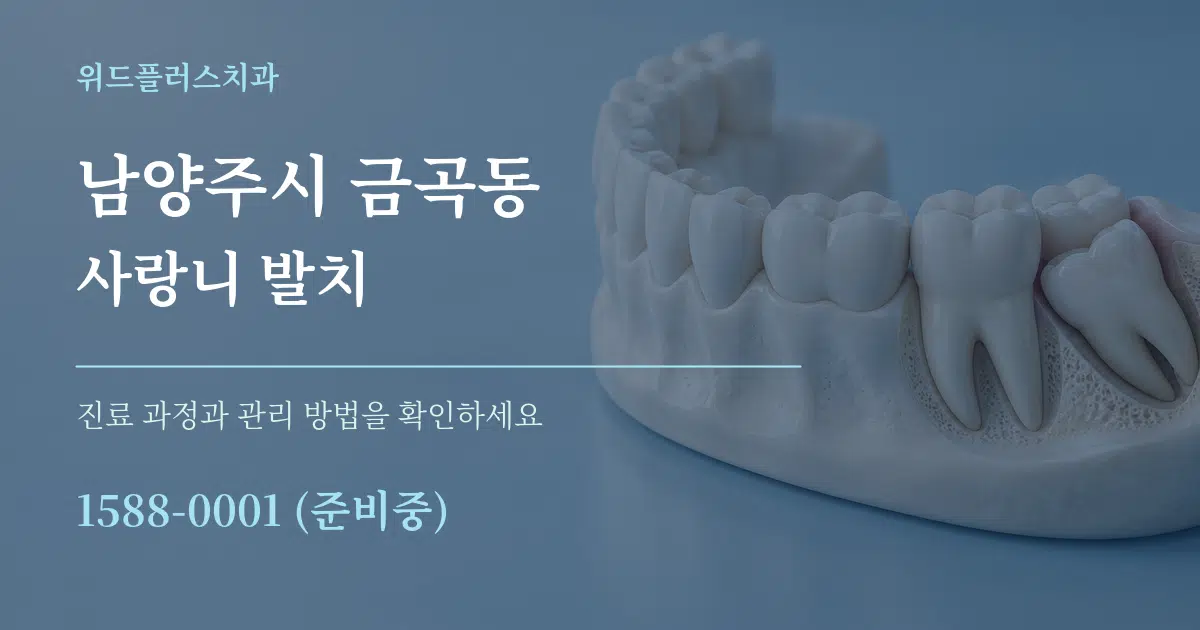 남양주시 금곡동 사랑니 발치 서비스 이용 안내 그래픽