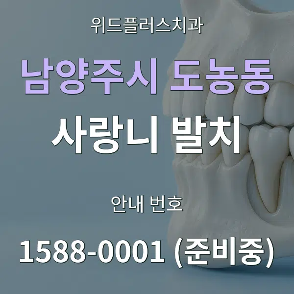 남양주시 도농동 사랑니 발치 대표 안내 그래픽