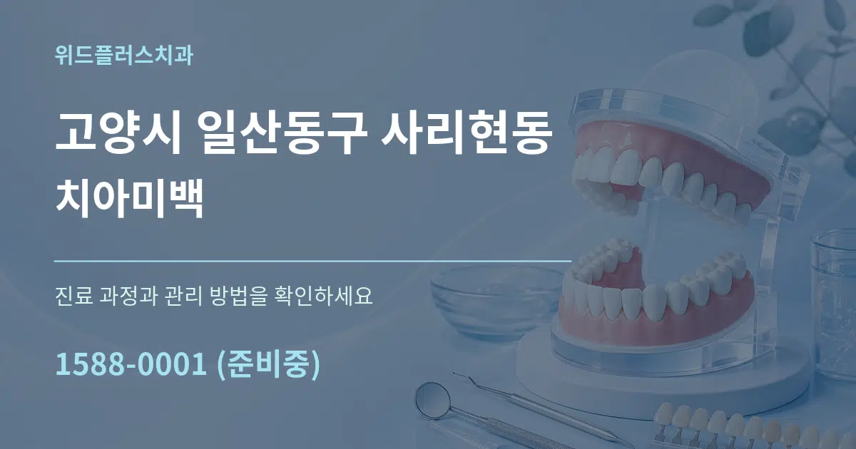 고양시 일산동구 사리현동 치아미백 서비스 이용 안내 그래픽