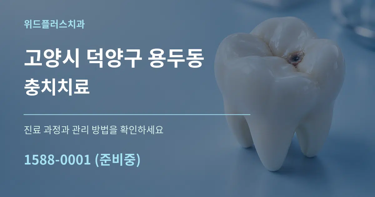 고양시 덕양구 용두동 충치치료 서비스 이용 안내 그래픽