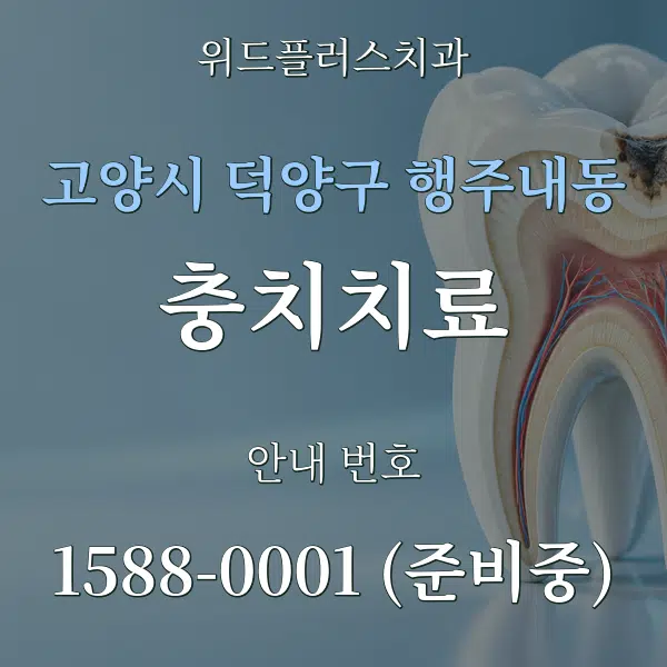 고양시 덕양구 행주내동 충치치료 대표 안내 그래픽
