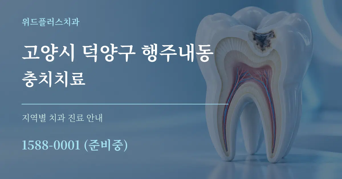 고양시 덕양구 행주내동 충치치료 대표 안내 그래픽