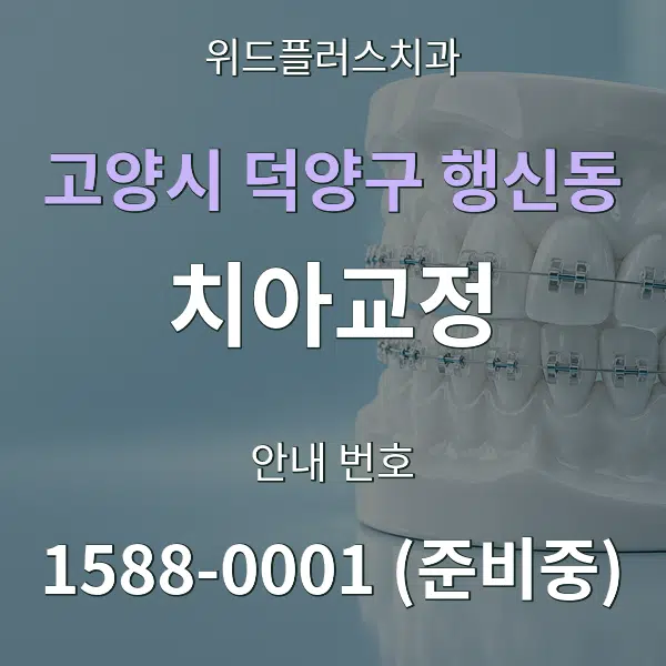 고양시 덕양구 행신동 치아교정 대표 안내 그래픽