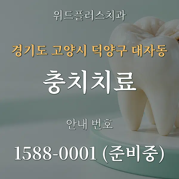 경기도 고양시 덕양구 대자동 충치치료 대표 안내 그래픽