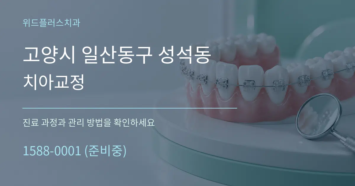 고양시 일산동구 성석동 치아교정 서비스 이용 안내 그래픽