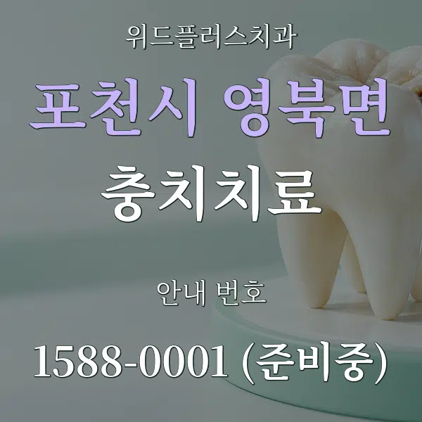 포천시 영북면 충치치료 대표 안내 그래픽