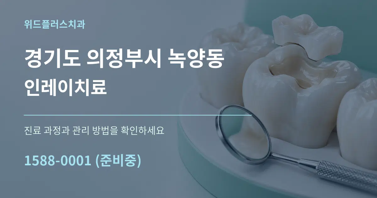 경기도 의정부시 녹양동 인레이치료 서비스 이용 안내 그래픽