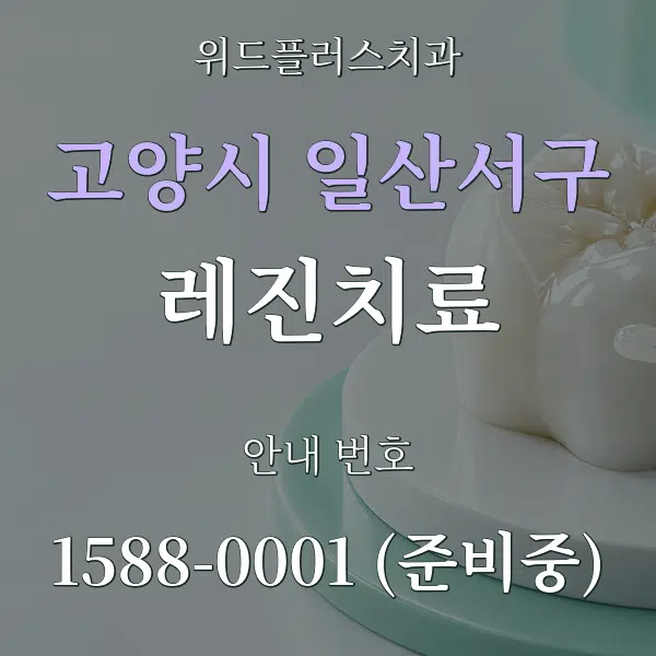 고양시 일산서구 레진치료 대표 안내 그래픽