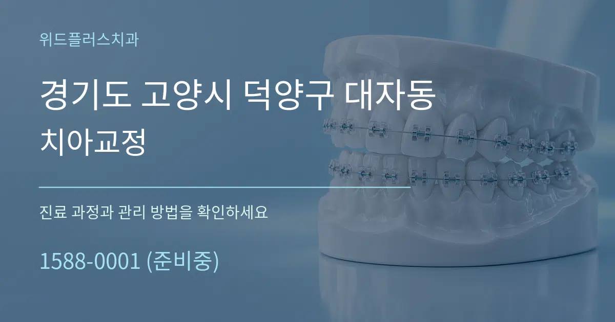 경기도 고양시 덕양구 대자동 치아교정 서비스 이용 안내 그래픽