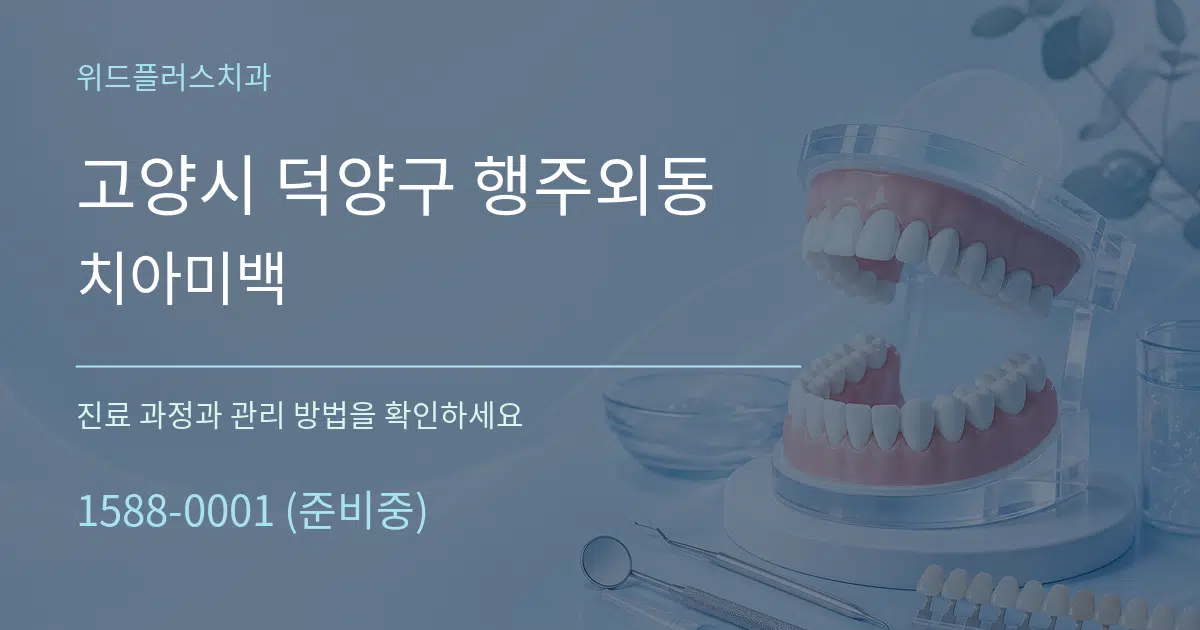 고양시 덕양구 행주외동 치아미백 서비스 이용 안내 그래픽