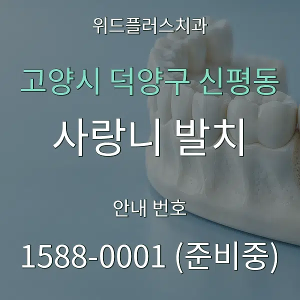 고양시 덕양구 신평동 사랑니 발치 대표 안내 그래픽