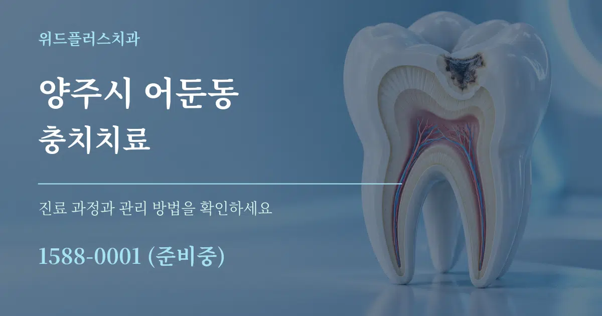 양주시 어둔동 충치치료 서비스 이용 안내 그래픽