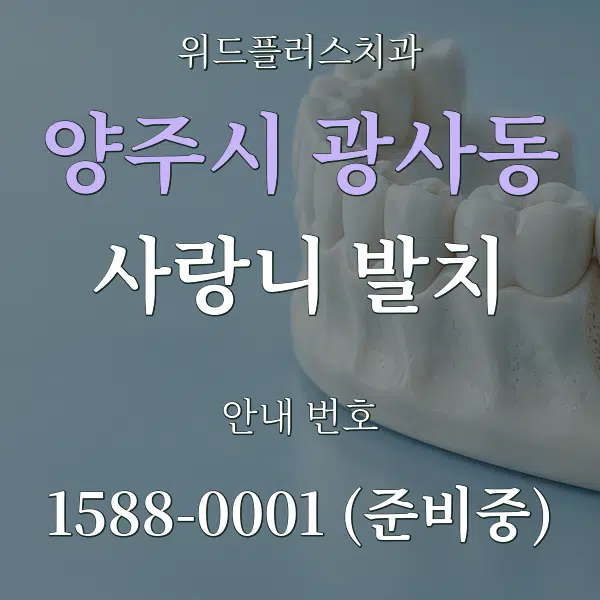 양주시 광사동 사랑니 발치 대표 안내 그래픽