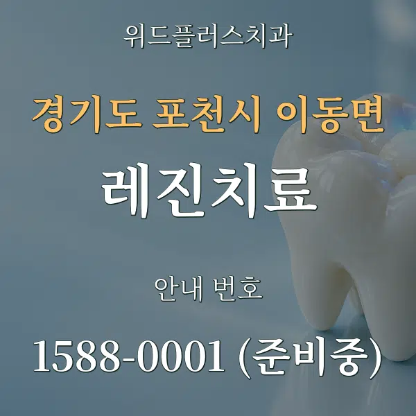 경기도 포천시 이동면 레진치료 대표 안내 그래픽