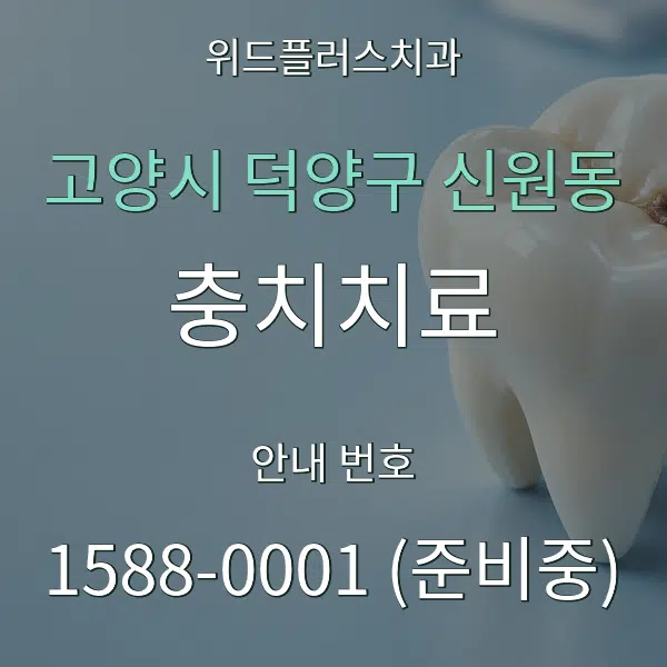 고양시 덕양구 신원동 충치치료 대표 안내 그래픽