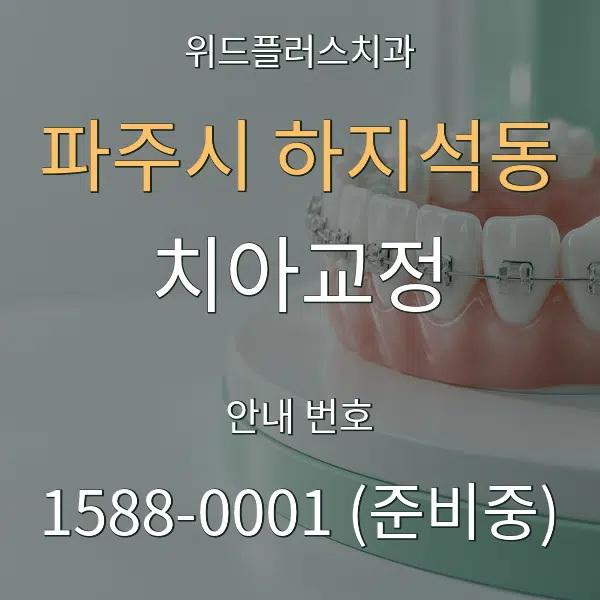 파주시 하지석동 치아교정 대표 안내 그래픽