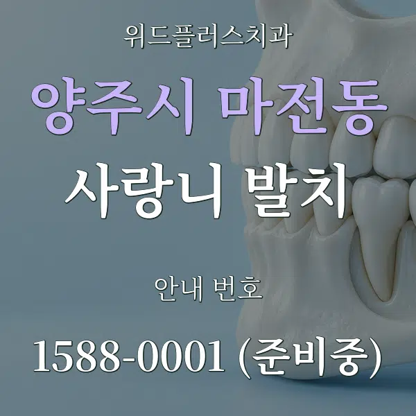 양주시 마전동 사랑니 발치 대표 안내 그래픽